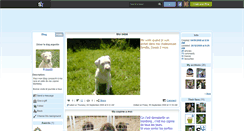 Desktop Screenshot of dogo80.skyrock.com