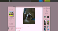 Desktop Screenshot of nos-lapins-angora.skyrock.com