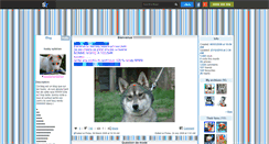 Desktop Screenshot of dakota-handichien.skyrock.com