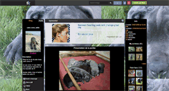 Desktop Screenshot of kafta41.skyrock.com