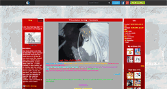 Desktop Screenshot of negi-hina.skyrock.com