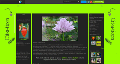 Desktop Screenshot of cit-a-tioon.skyrock.com
