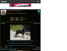 Tablet Screenshot of cooper-beauceron-77.skyrock.com