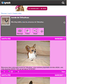 Tablet Screenshot of chihuahua58.skyrock.com