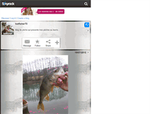 Tablet Screenshot of batfisher.skyrock.com
