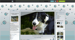 Desktop Screenshot of bordercollie.skyrock.com