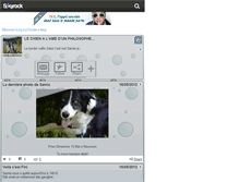 Tablet Screenshot of bordercollie.skyrock.com