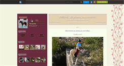 Desktop Screenshot of mschleich.skyrock.com