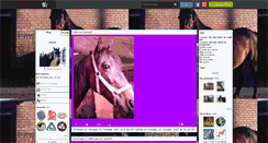 Desktop Screenshot of cheval-christine.skyrock.com