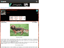 Tablet Screenshot of concours-petitschiens.skyrock.com