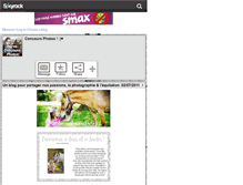 Tablet Screenshot of horse-concours-photos.skyrock.com