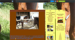 Desktop Screenshot of fenouillet-poney-club.skyrock.com