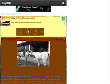 Tablet Screenshot of fenouillet-poney-club.skyrock.com