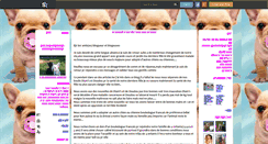 Desktop Screenshot of bb-bouledogue-francais.skyrock.com