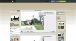 Desktop Screenshot of gogocoq.skyrock.com