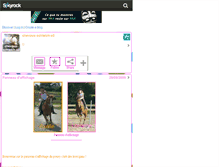 Tablet Screenshot of chevaux-schleich-x3.skyrock.com