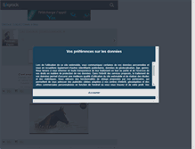 Tablet Screenshot of portrait-equin.skyrock.com