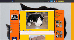 Desktop Screenshot of ambresf.skyrock.com