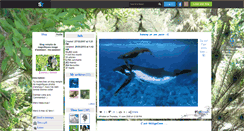 Desktop Screenshot of animaux-fashion.skyrock.com