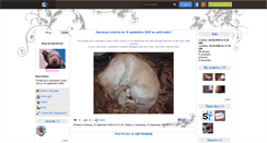 Desktop Screenshot of labraniche.skyrock.com