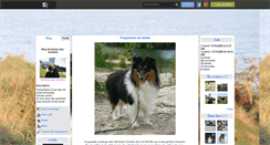 Desktop Screenshot of berger-des-shetland.skyrock.com