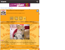 Tablet Screenshot of blog-levriers-en-danger.skyrock.com