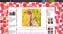 Desktop Screenshot of frech-heit.skyrock.com