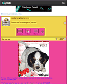 Tablet Screenshot of cocker-anglais-forever.skyrock.com