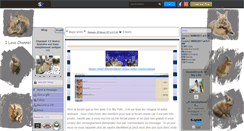 Desktop Screenshot of channel-mon-lapinou.skyrock.com