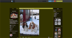 Desktop Screenshot of bassetfamily.skyrock.com