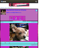 Tablet Screenshot of chihuahua-passion.skyrock.com