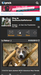 Mobile Screenshot of desrocksstaffskennel.skyrock.com
