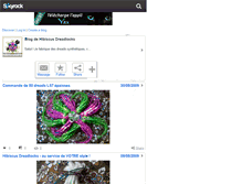 Tablet Screenshot of hibiscusdreadlocks.skyrock.com