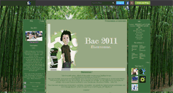 Desktop Screenshot of le-bac-2011.skyrock.com