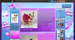 Desktop Screenshot of love-de-chihuahua.skyrock.com