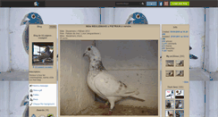 Desktop Screenshot of gg-pigeon-voyageur.skyrock.com