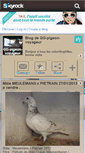 Mobile Screenshot of gg-pigeon-voyageur.skyrock.com