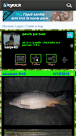 Mobile Screenshot of carpe-62.skyrock.com