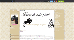 Desktop Screenshot of breyer-noisette.skyrock.com