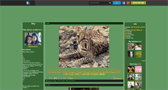 Desktop Screenshot of animaux-et-cie.skyrock.com