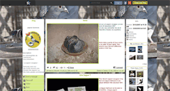 Desktop Screenshot of pigeonlaonnois.skyrock.com