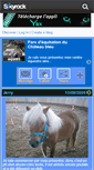 Mobile Screenshot of equi93.skyrock.com