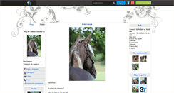 Desktop Screenshot of citation-chevaux-x3.skyrock.com