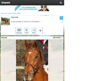 Tablet Screenshot of cheval-43.skyrock.com