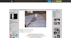 Desktop Screenshot of callopsittes7.skyrock.com