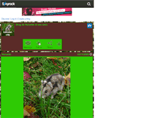 Tablet Screenshot of hamster-city.skyrock.com