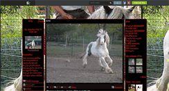 Desktop Screenshot of monirishcob.skyrock.com