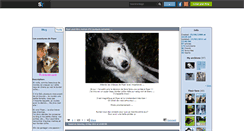 Desktop Screenshot of ma-border-collie.skyrock.com