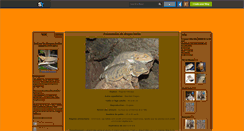 Desktop Screenshot of bearded-dragon.skyrock.com