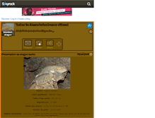 Tablet Screenshot of bearded-dragon.skyrock.com